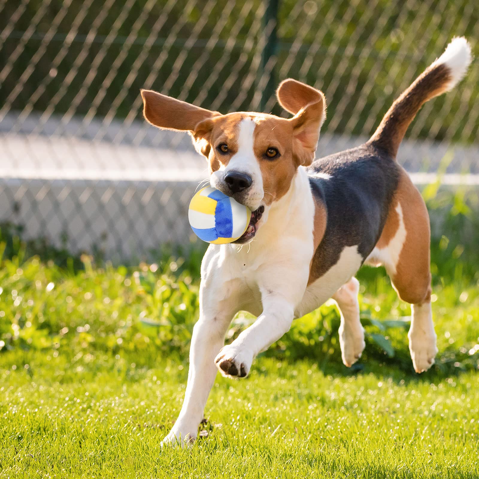 Cuperay interactive dog balls puppy gift suggests a thoughtful present for dogs.