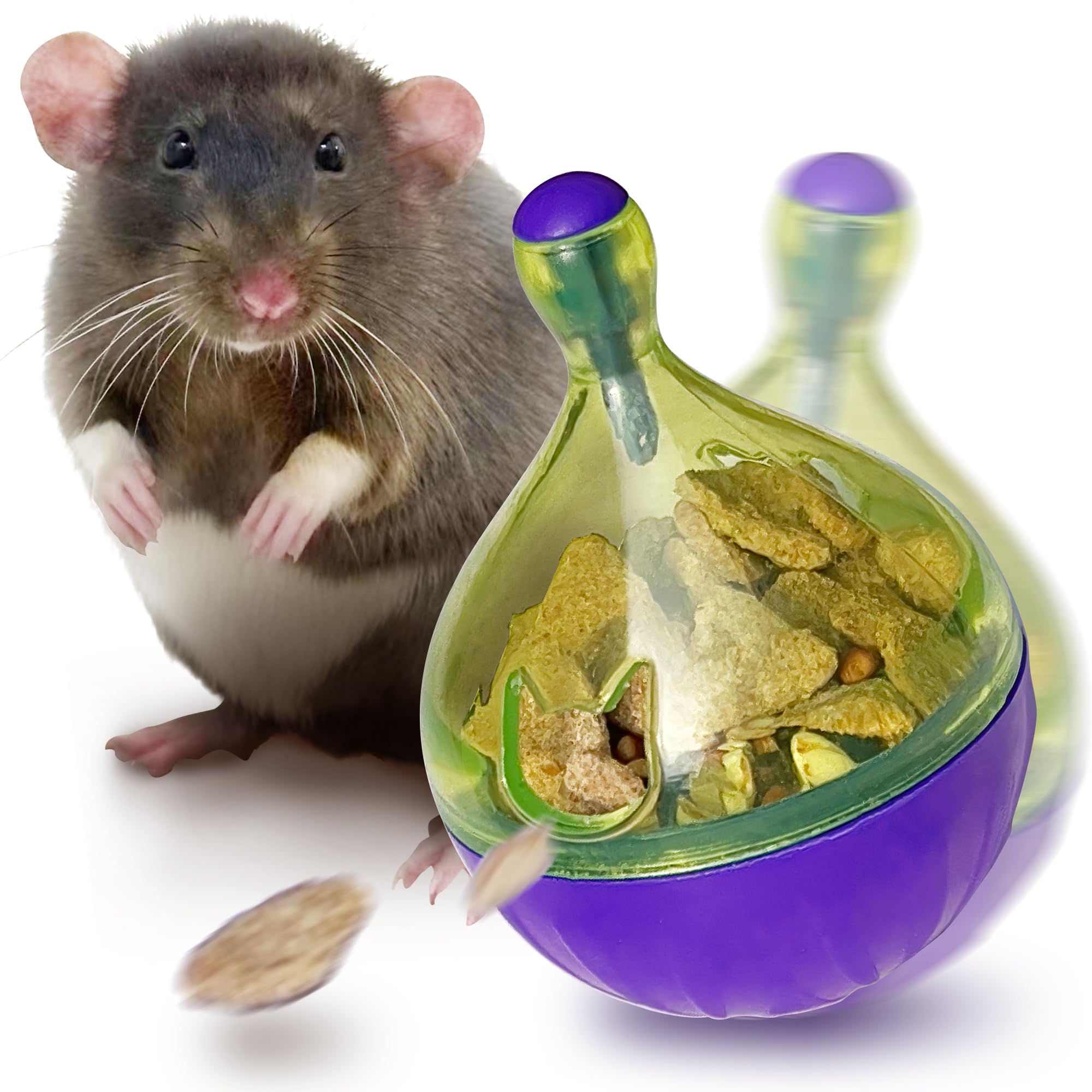 CUQUICC rat puzzle foraging toy assembly boosts natural foraging behavior.
