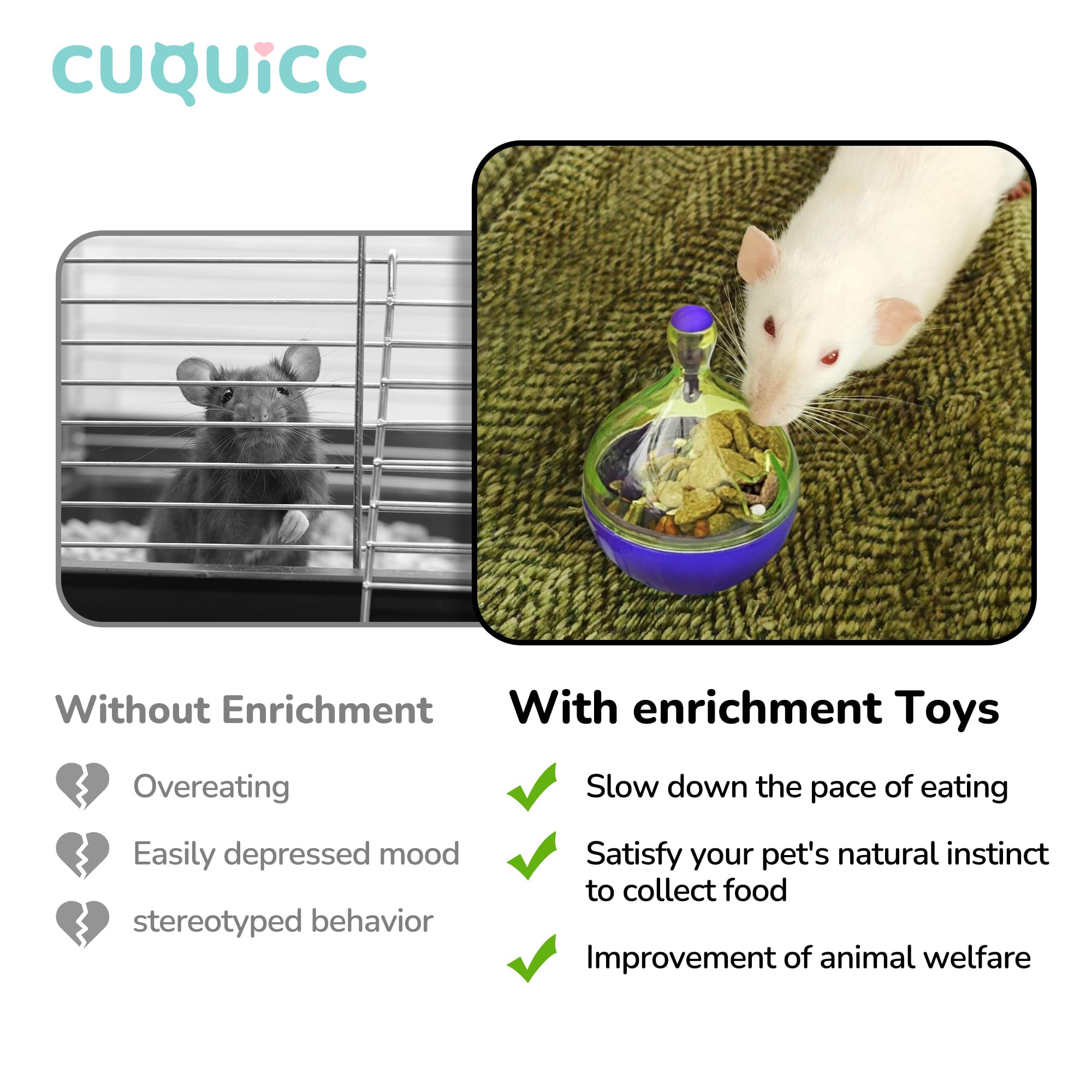 CUQUICC rat puzzle in cage enrichment promotes mental stimulation.