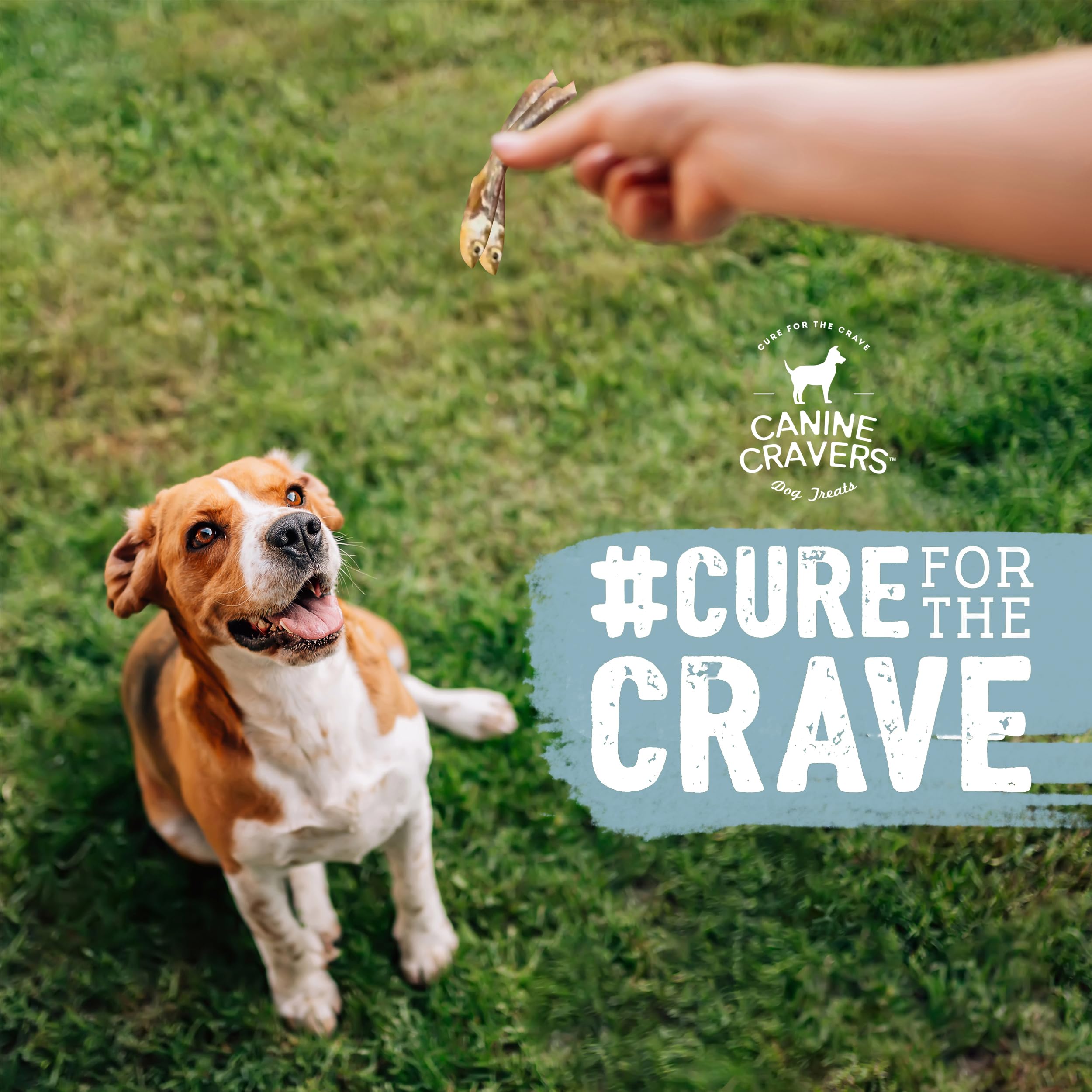 CURE FOR THE CRAVE Canine Cravers, textura de pez seco, ideal para masticación lenta.