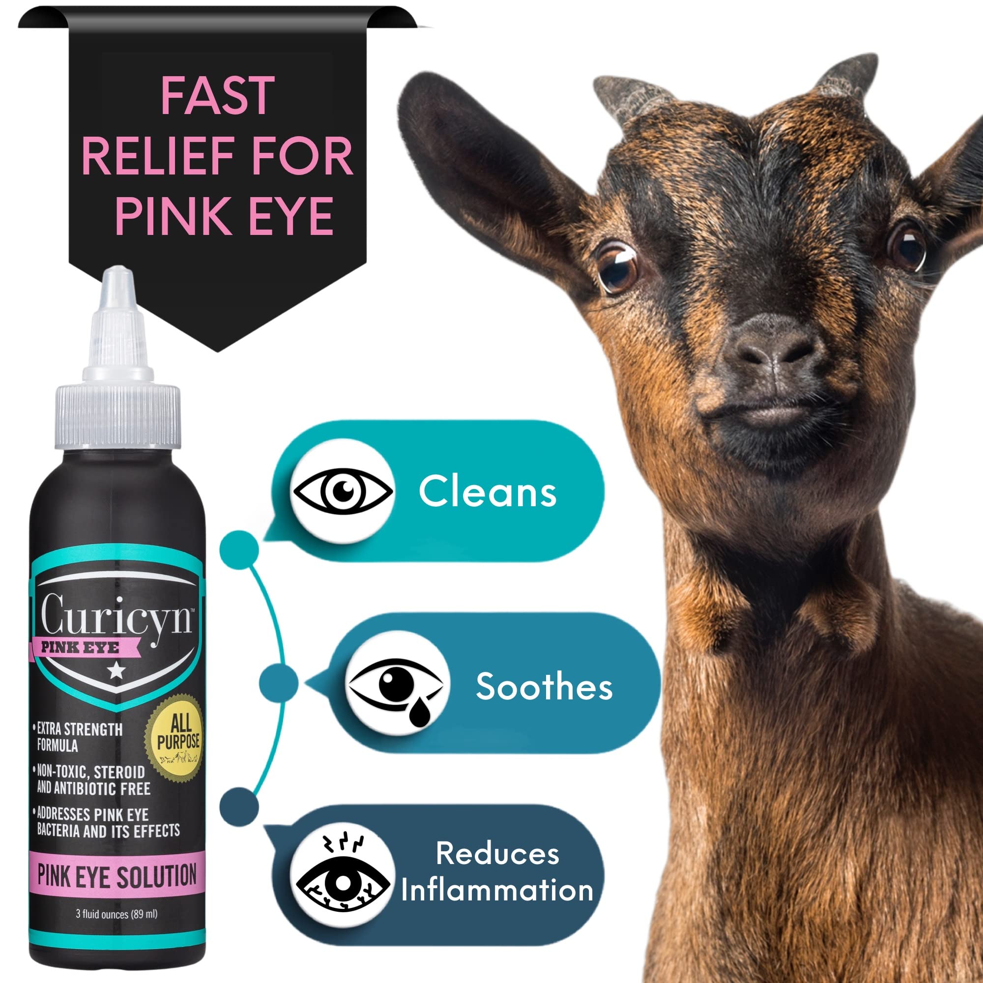 Curicyn Horse Eye Drops application showing safe eye care near sensitive areas.