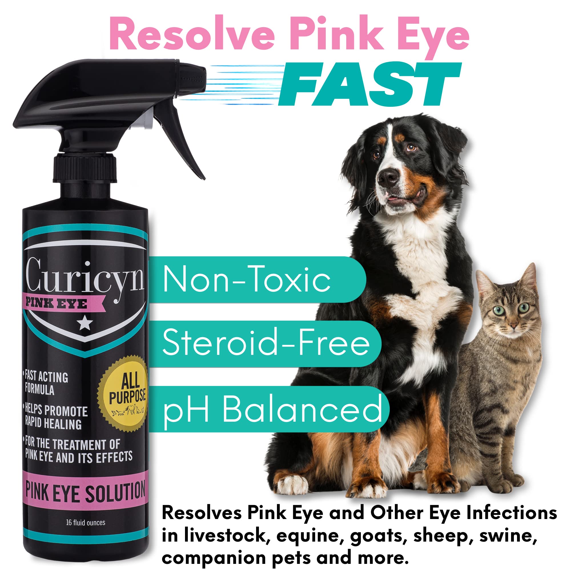 Curicyn Pink Eye Solution spray bottle for large-animal eye care like IBK.
