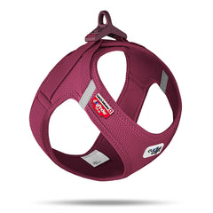 Curli Vest Harness Clasp Air-Mesh front view with secure leash attachment.