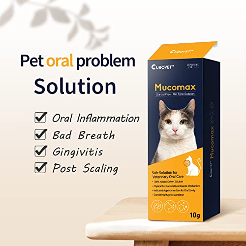 Close-up of MucoMax applicator tip applying gel to a dog's gums.