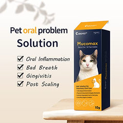 Close-up of MucoMax applicator tip applying gel to a dog's gums.
