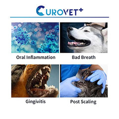 Dog and cat using MucoMax gel after dental cleaning.