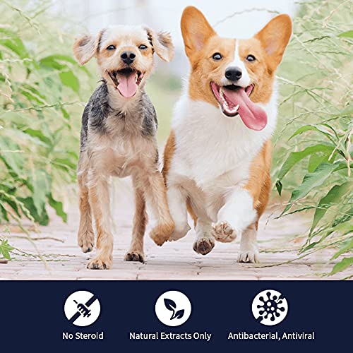 Graphic of MucoMax 100% natural herbal ingredients.