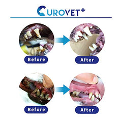 Pet owner applying MucoMax to a dog's gums for daily oral care.