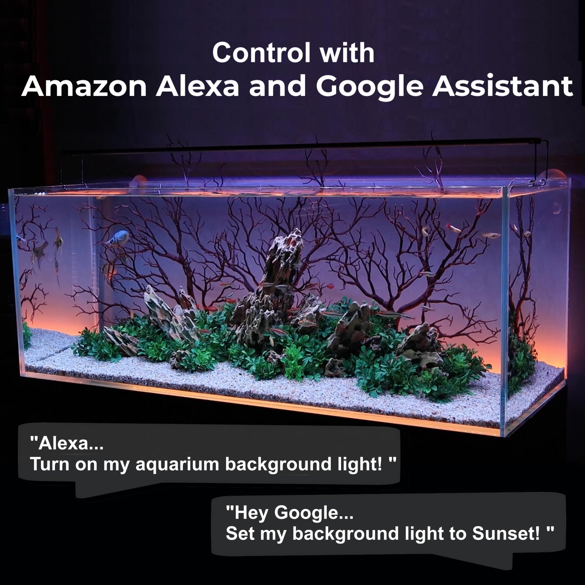 CURRENT ColorCast voice control setup with Alexa and Google Home.