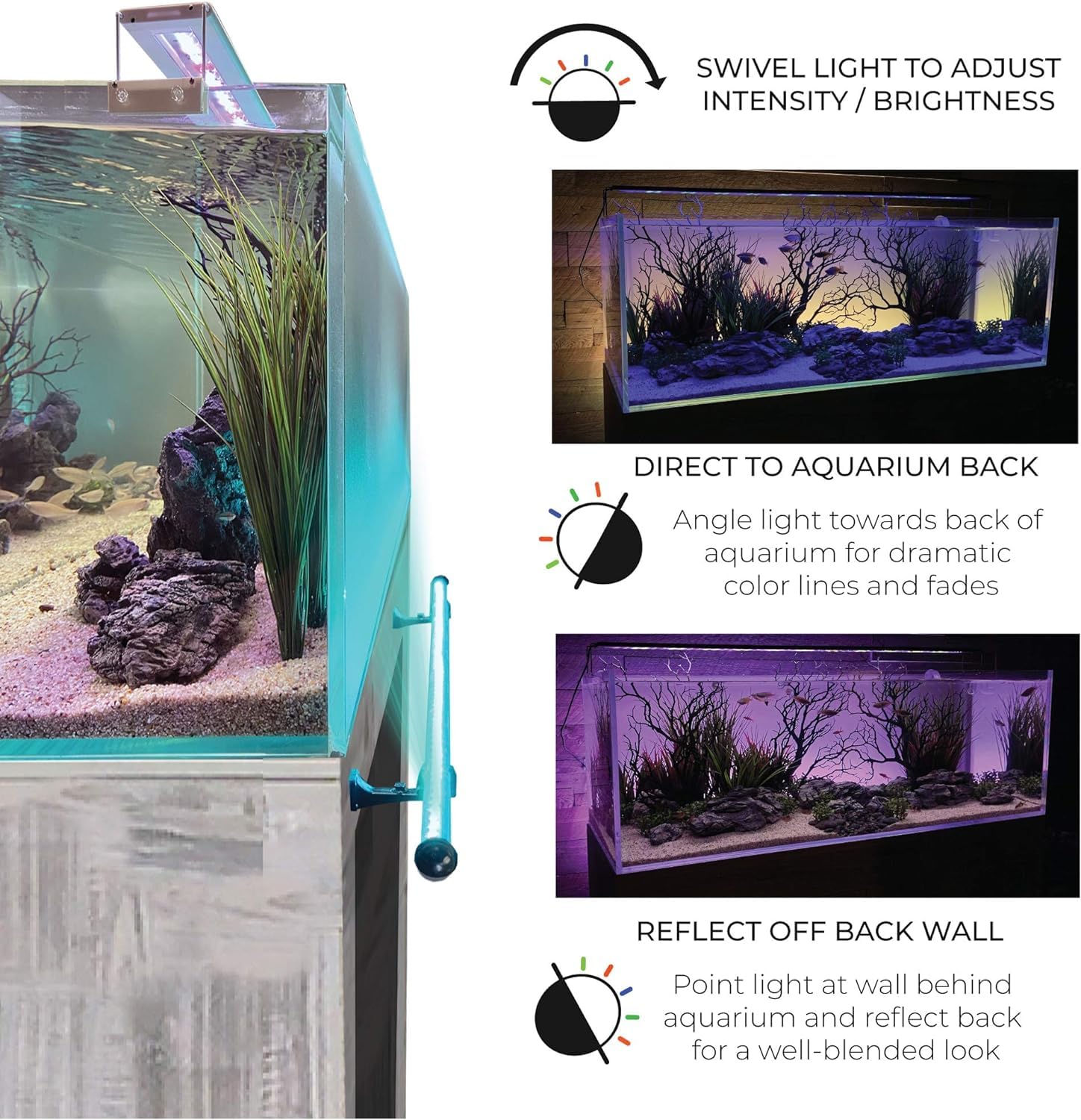 CURRENT ColorCast aquarium lighting creates a calming ambient backdrop for tanks.