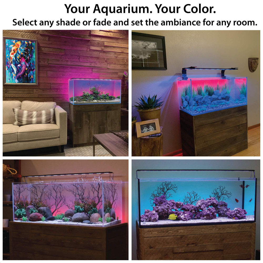 CURRENT ColorCast installation using static cling with no glue.