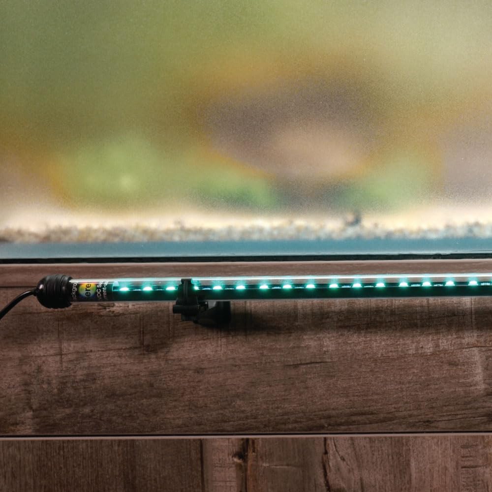 CURRENT ColorCast frosted film diffusion provides soft color spread.
