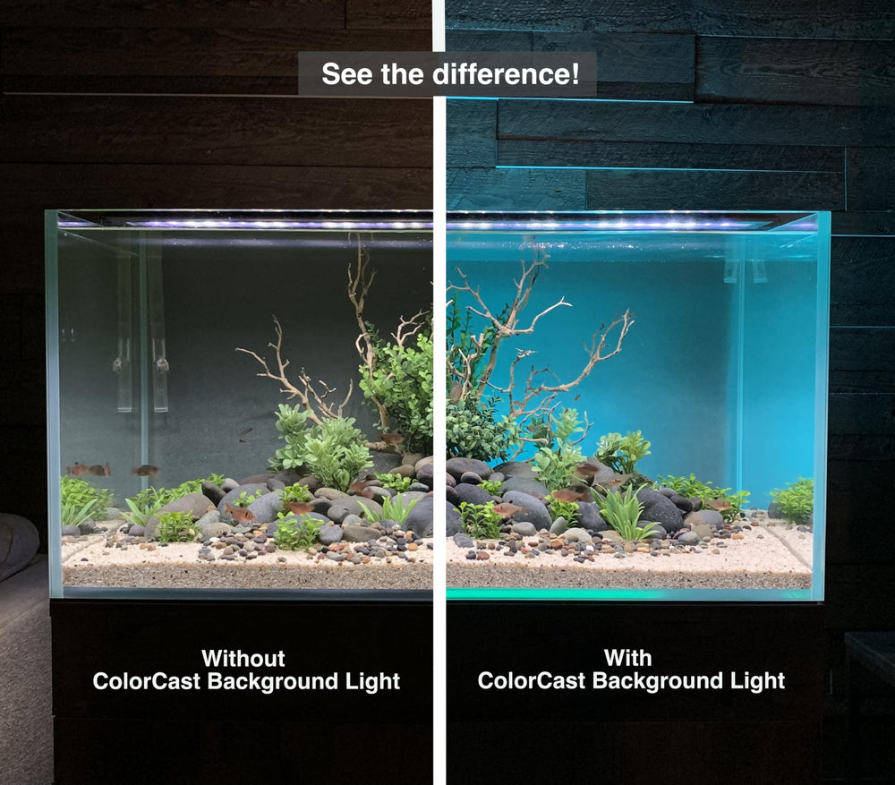 CURRENT ColorCast LED module shown from the front casting ambient color across water.