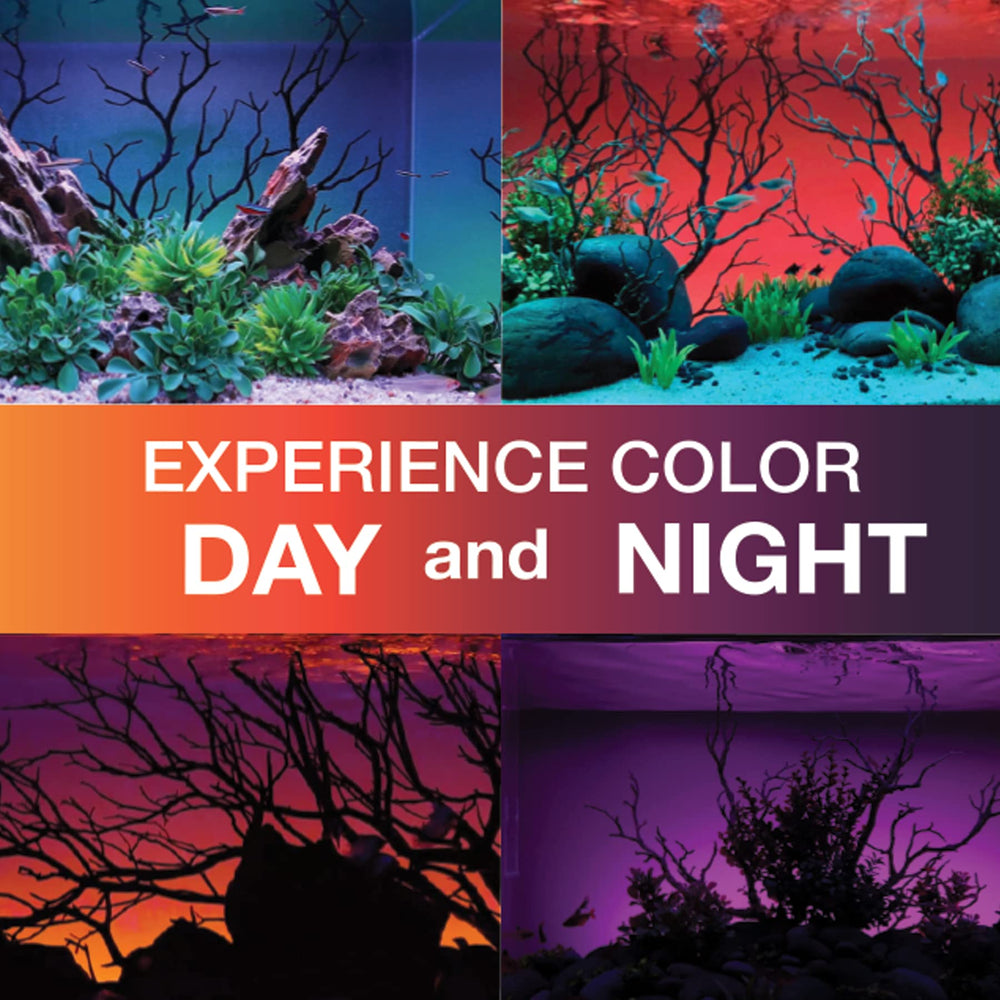 CURRENT ColorCast app control interface illustrating wireless color options.