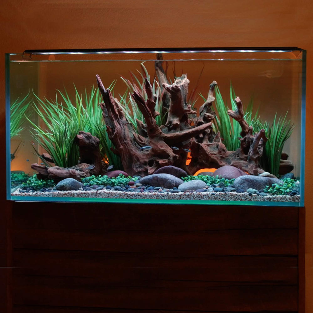 Current Satellite LED Plus front view highlights full spectrum RGB+W for vivid tank color