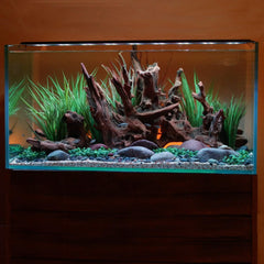 Current Satellite LED Plus front view highlights full spectrum RGB+W for vivid tank color