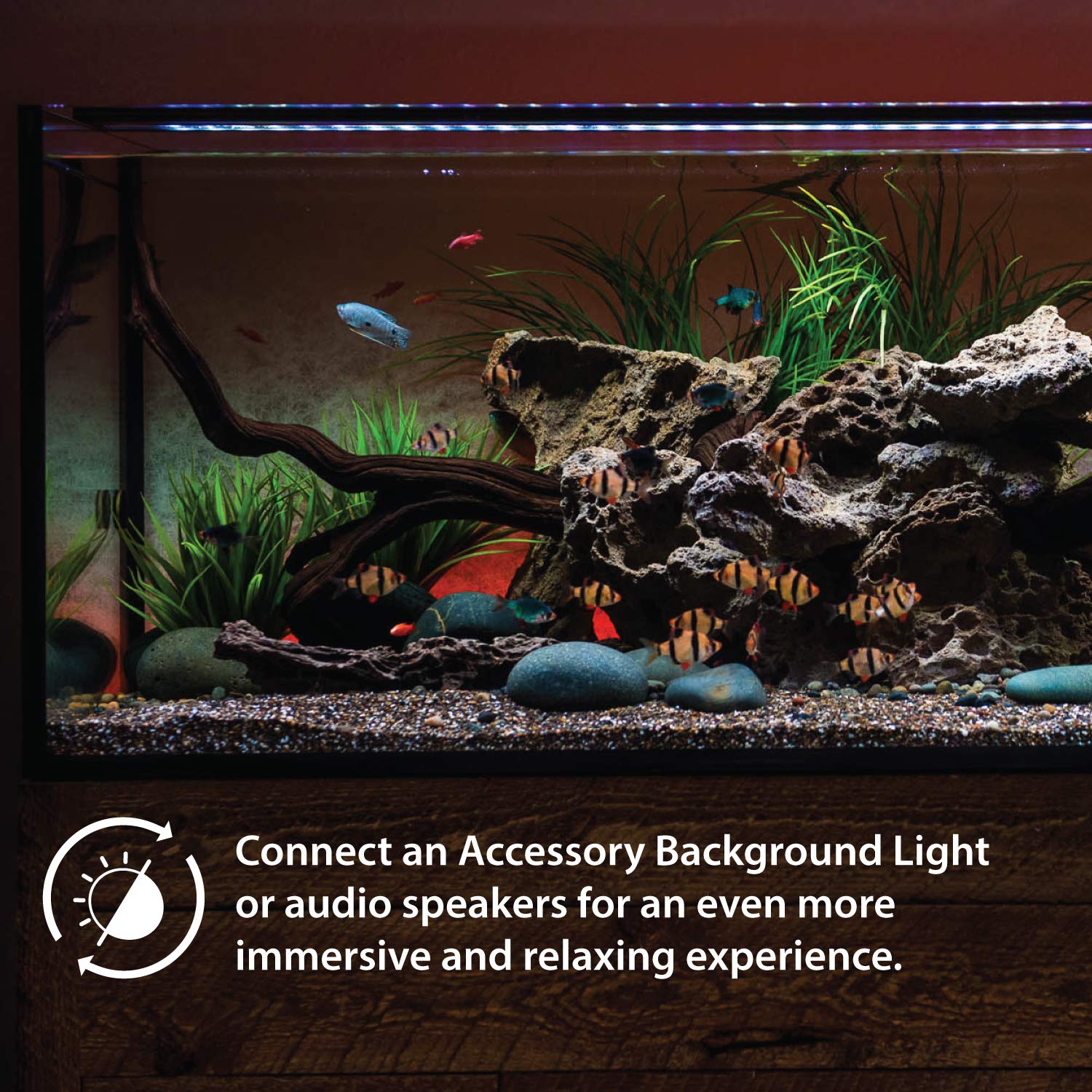 Current Satellite LED Plus IP65 rating suits aquarium environments with splash resistance