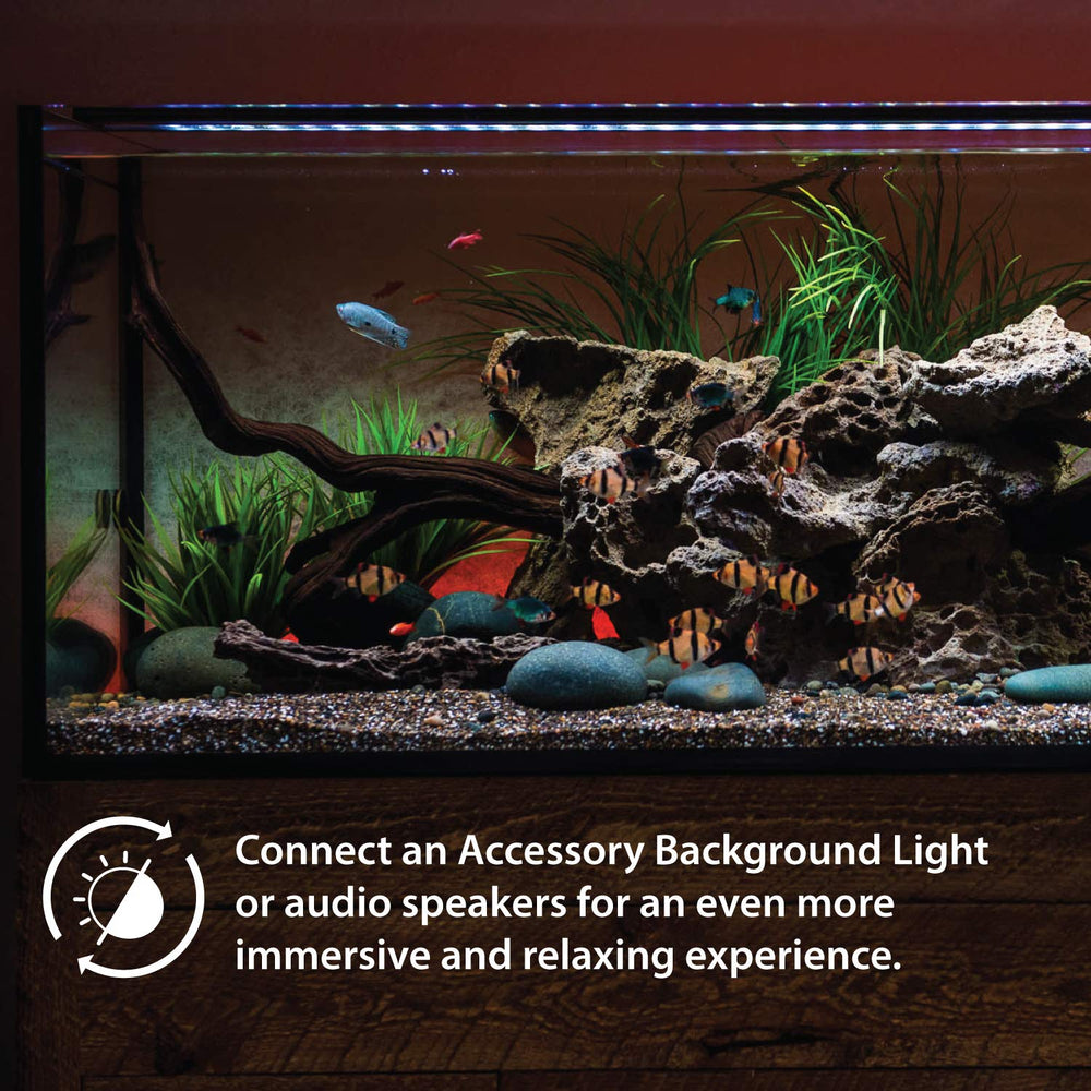 Current Satellite LED Plus IP65 rating suits aquarium environments with splash resistance