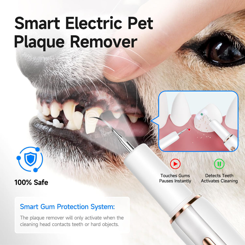 Curvy Moon Ultrasonic Dog Teeth Cleaning Kit LED light in use for precise cleaning.