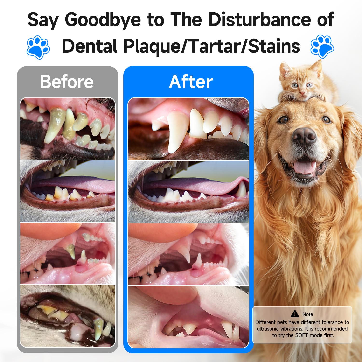 Curvy Moon Ultrasonic Dog Teeth Cleaning Kit 40kHz vibrations aid tartar removal.