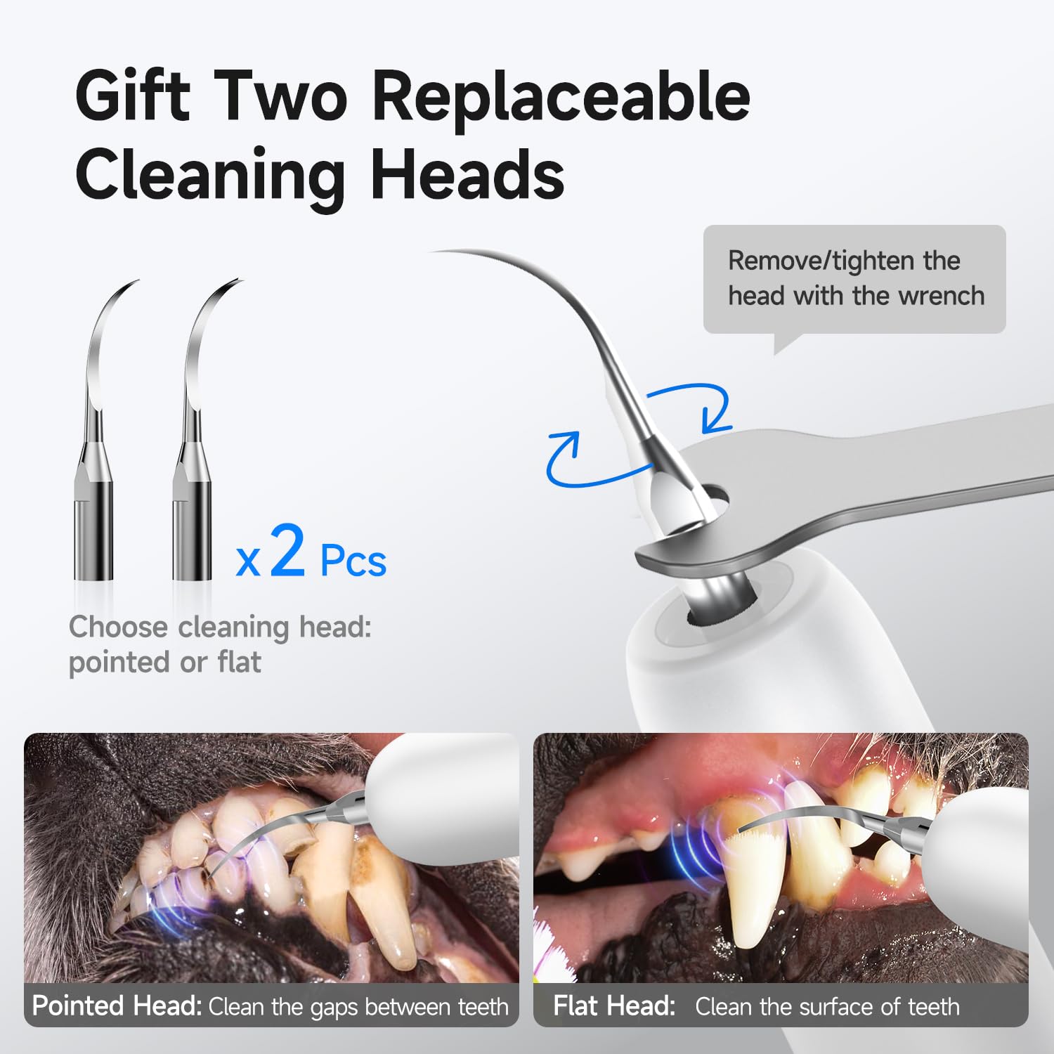 Curvy Moon Ultrasonic Dog Teeth Cleaning Kit IPX6 waterproof for easy rinsing.