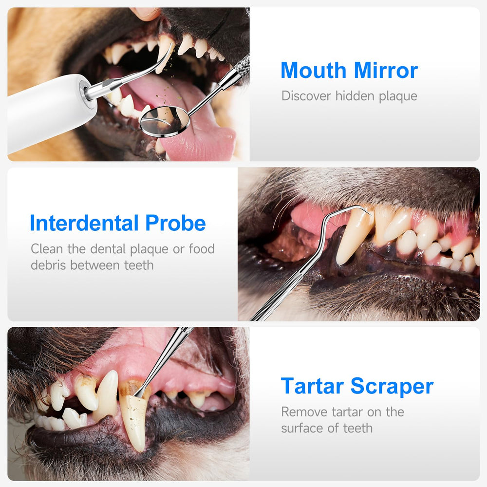 Curvy Moon Ultrasonic Dog Teeth Cleaning Kit oral mirror and tools aid inspection.