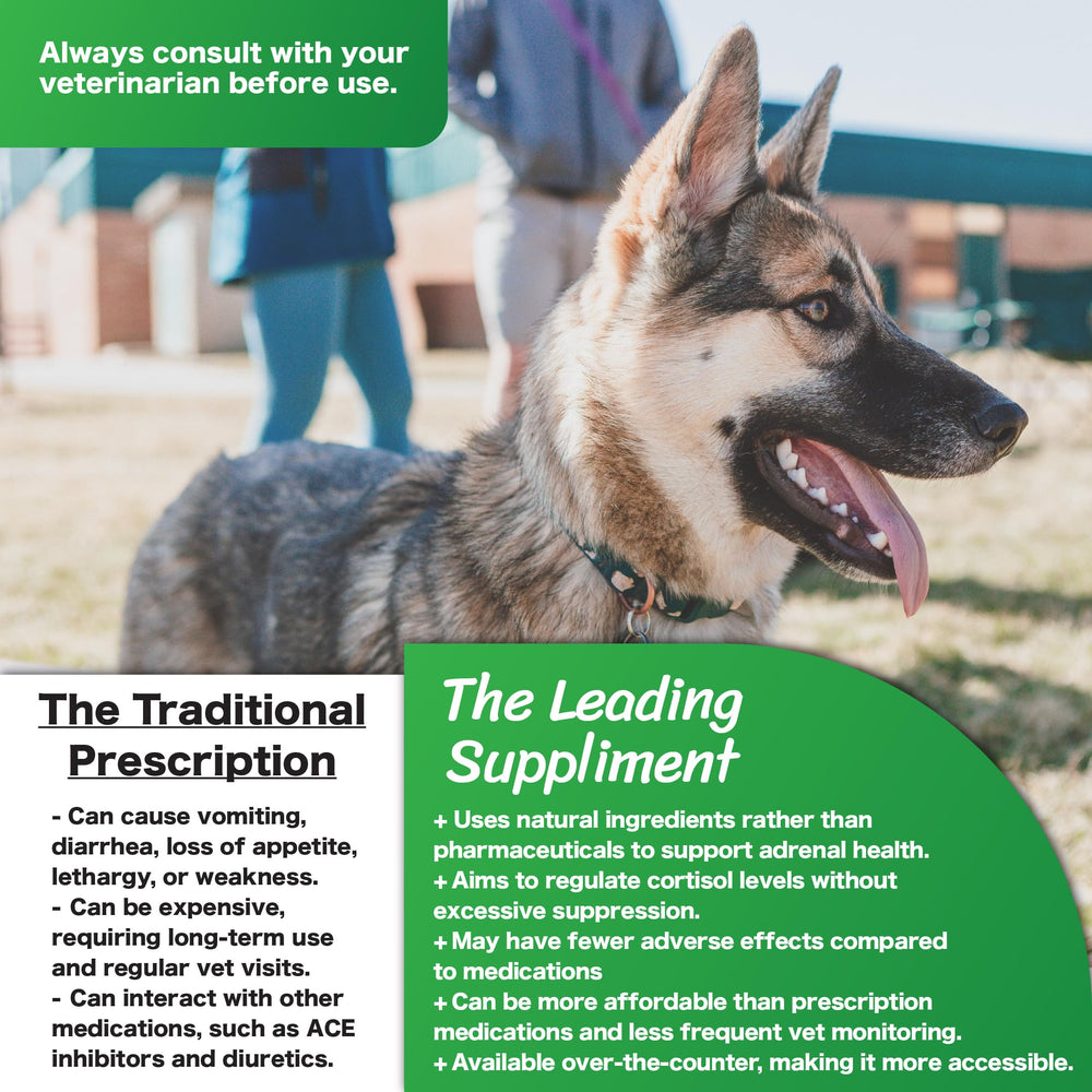 CushAway packaging graphics emphasize natural, vet-guided canine health.
