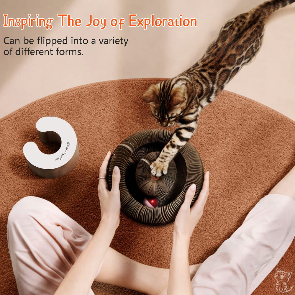 CusieryMax Cat Ball Adventure bell-ball on track provides an audible reward to engage cats