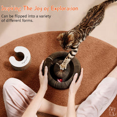 CusieryMax Cat Ball Adventure bell-ball on track provides an audible reward to engage cats