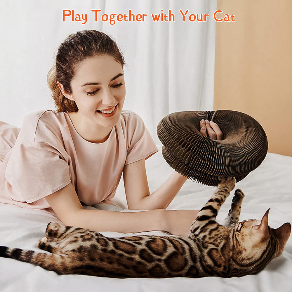 CusieryMax Cat Ball Adventure premium corrugated-paper shows CNC precision and safe edges