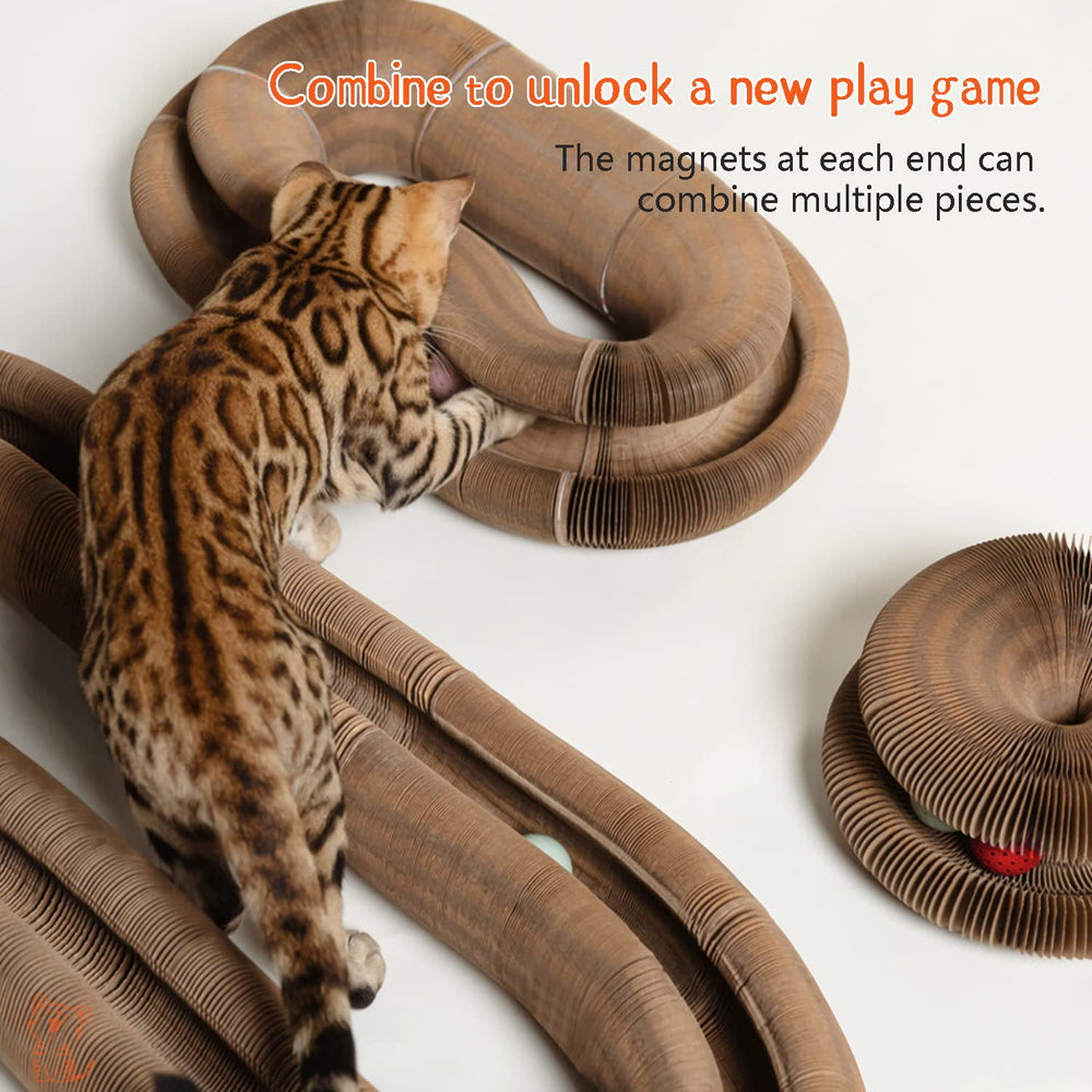 CusieryMax Cat Ball Adventure magnets-connected ends enable customizable shapes for interactive exploration
