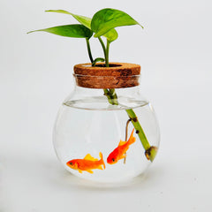 CUSNESTAL aquaponic tank with plant container supports plant growth using fish nutrients.
