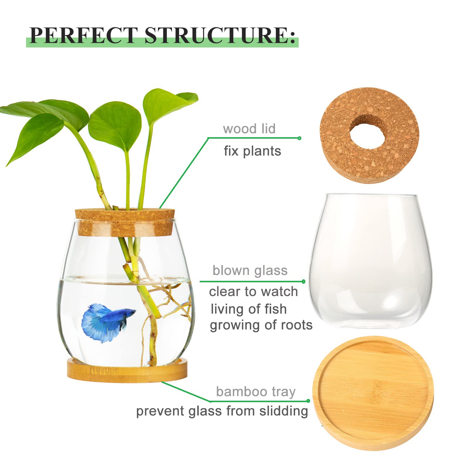 CUSNESTAL desktop glass bowl on a shelf as serene office decor with plants.