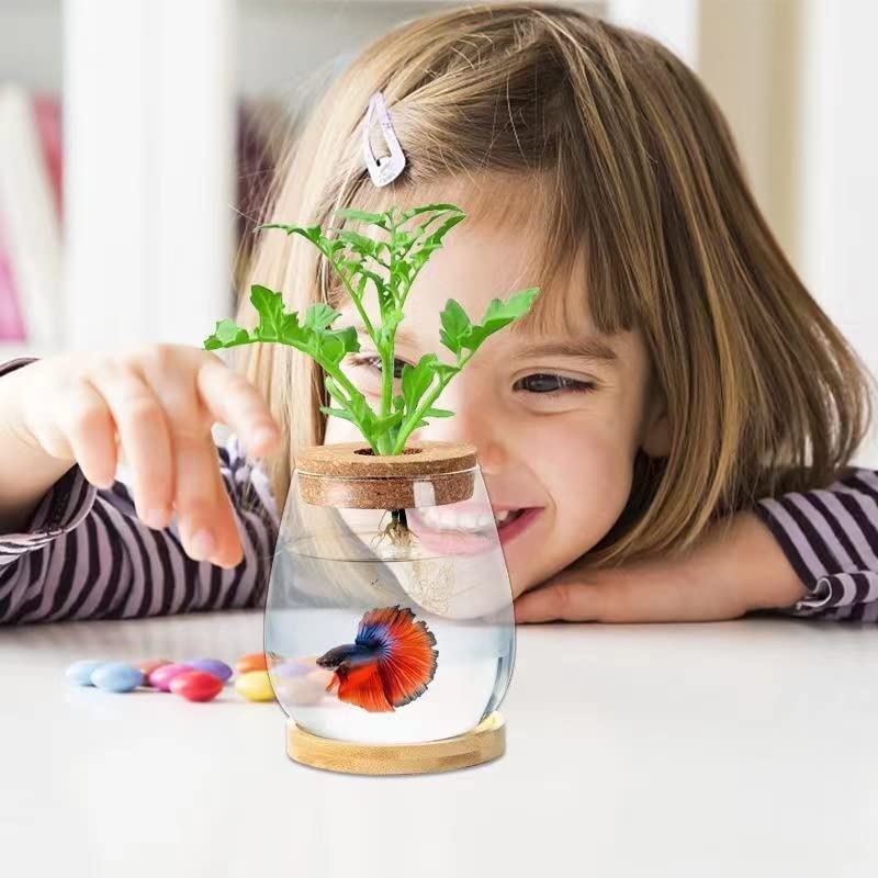 CUSNESTAL fish bowl used as plant terrarium for small houseplants.