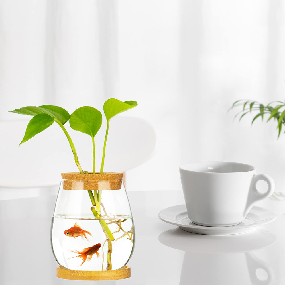 CUSNESTAL water-drop desk bowl showcases elegant shape and clear viewing of fish.