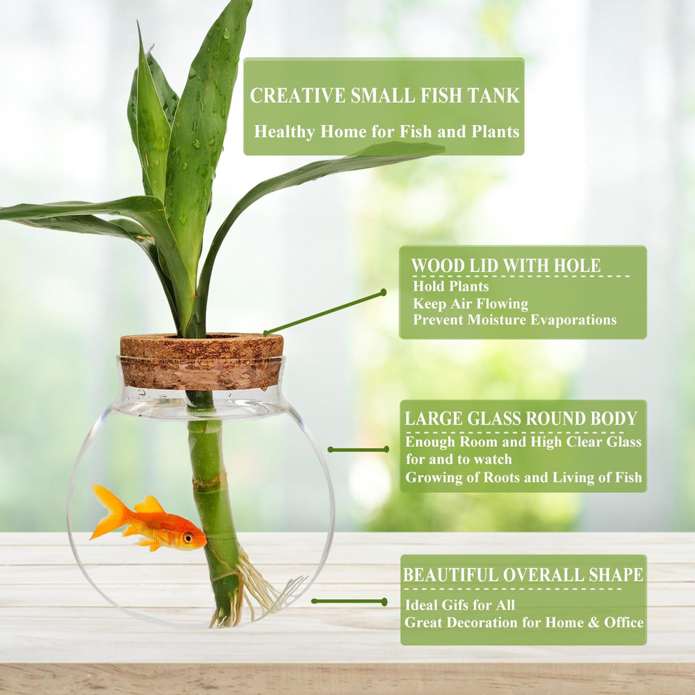 CUSNESTAL desktop terrarium decor enhances space with green life.