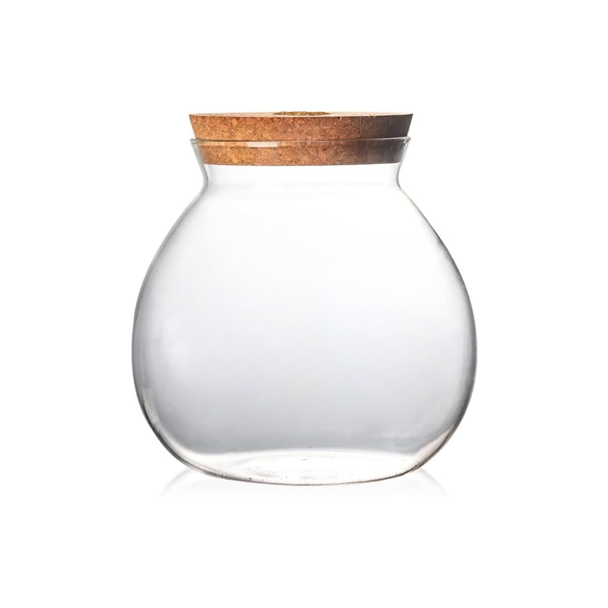 CUSNESTAL glass bowl for betta, small plant cuttings, or décor.