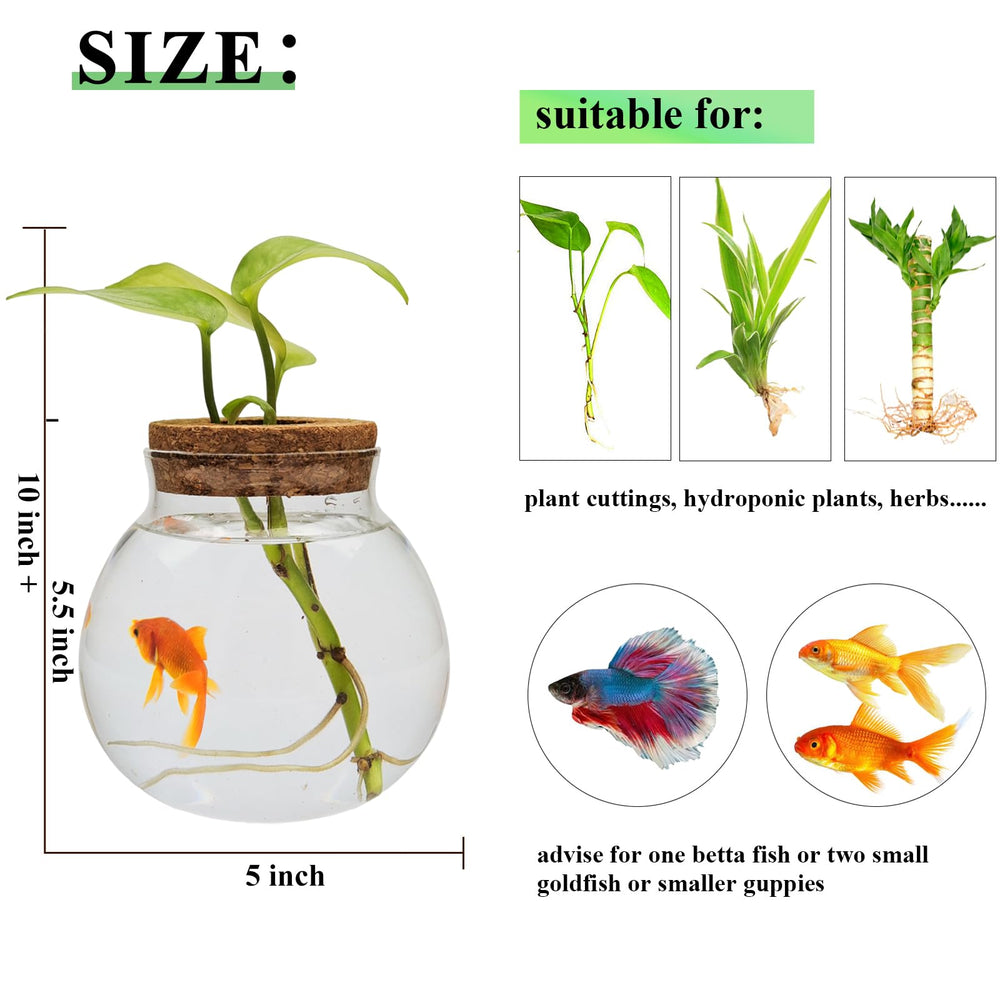 CUSNESTAL gift-friendly betta tank for home or office setups.