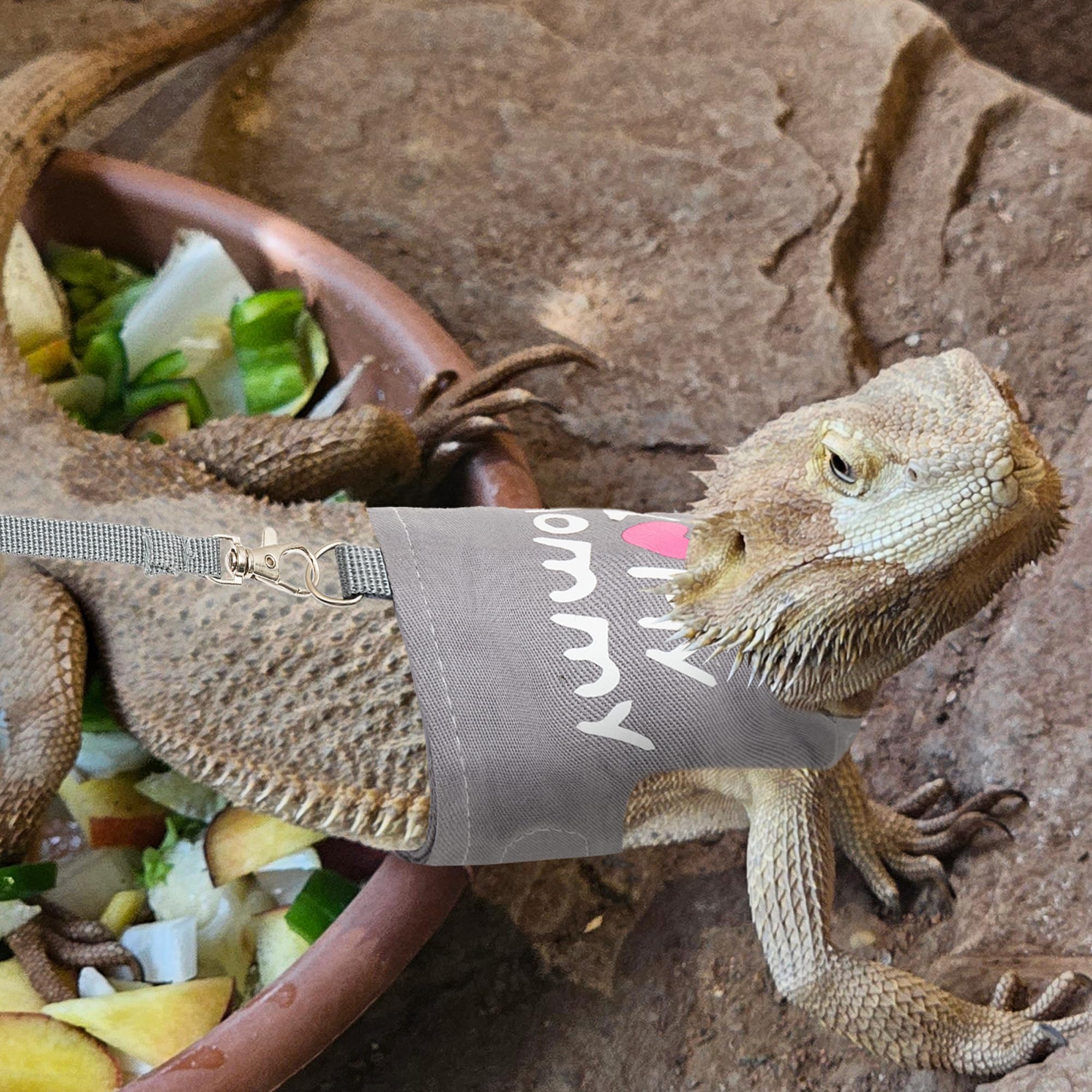 CUSOZWO Bearded Dragon Harness size-chart reference helps ensure neck and chest fit.