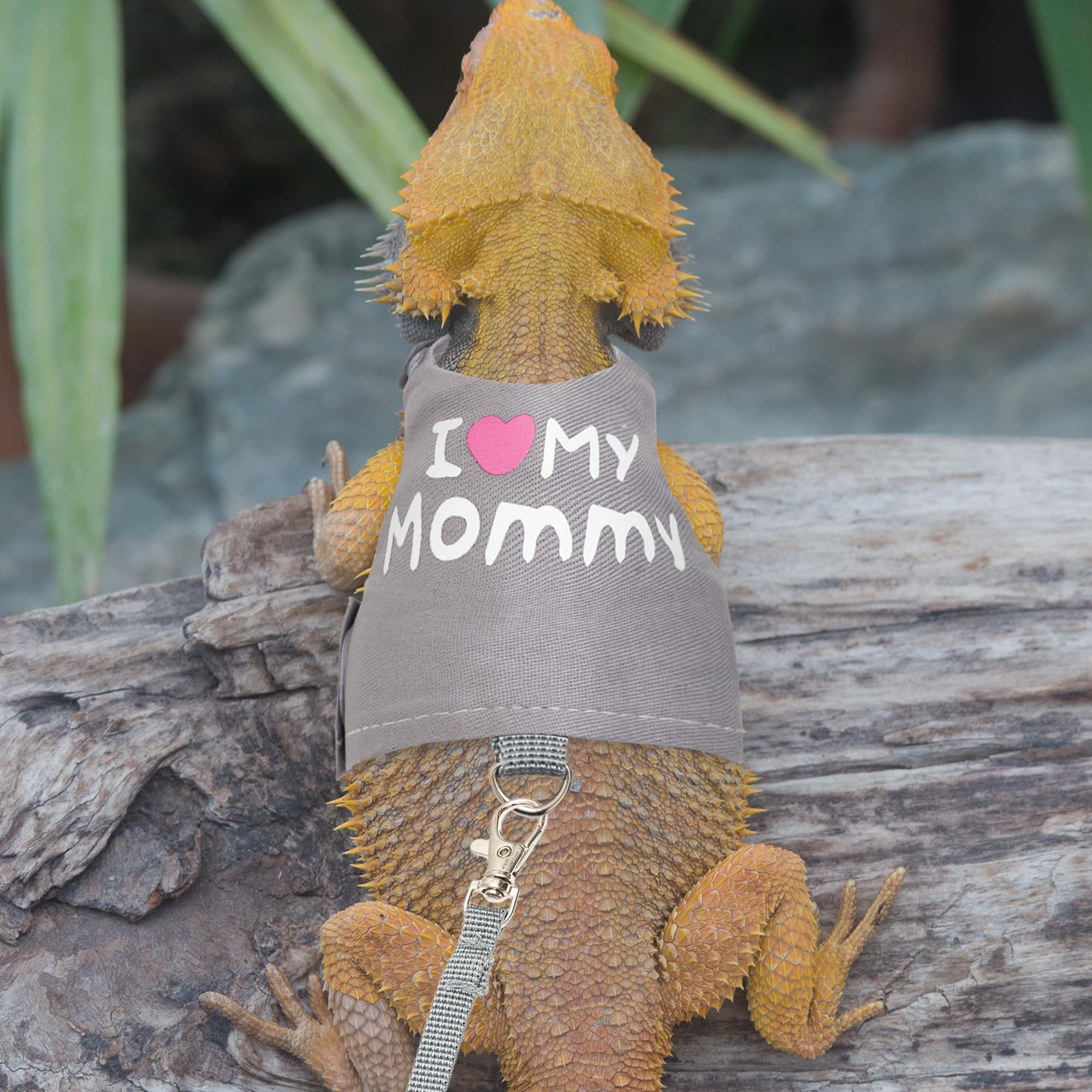 CUSOZWO Bearded Dragon Harness soft material ensures pet skin stays comfortable during wear.