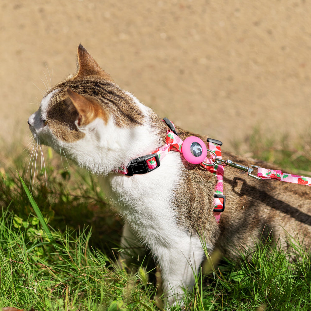 CUSOZWO cat-harness-soft-nylon-material provides gentle contact and durability.