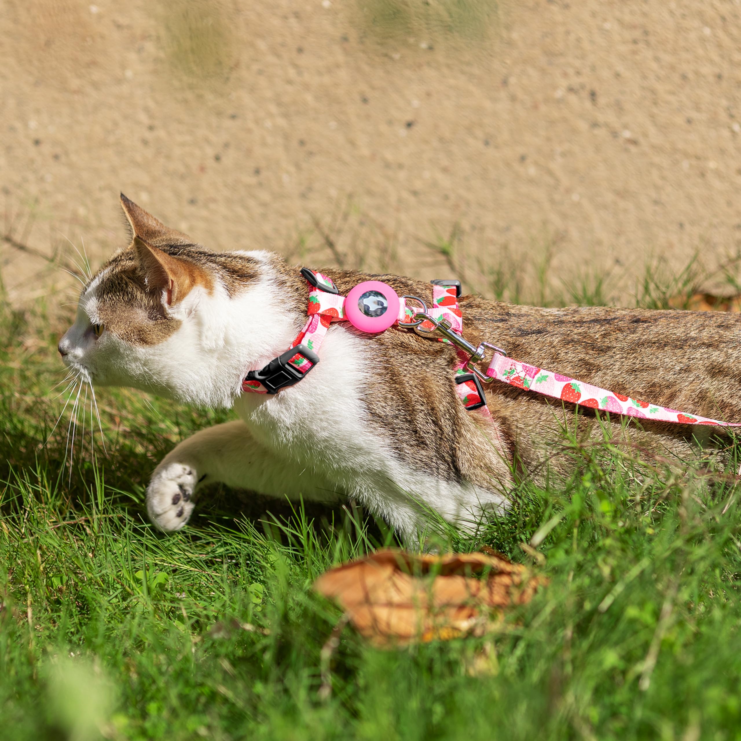 CUSOZWO walking outdoors setup shows travel-ready cat harness and leash.