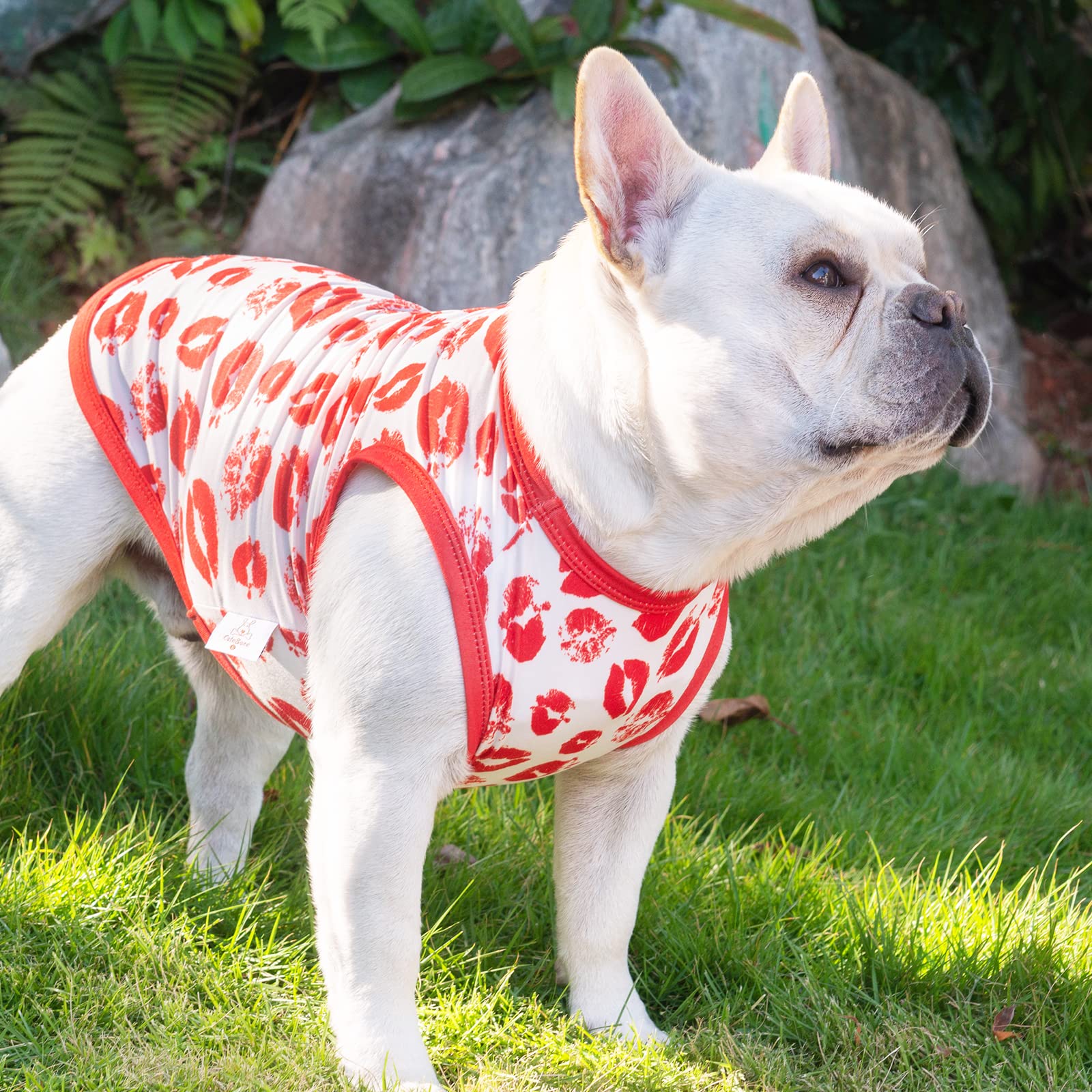CuteBone 2-pack Valentine shirts suit dogs and cats' everyday wear