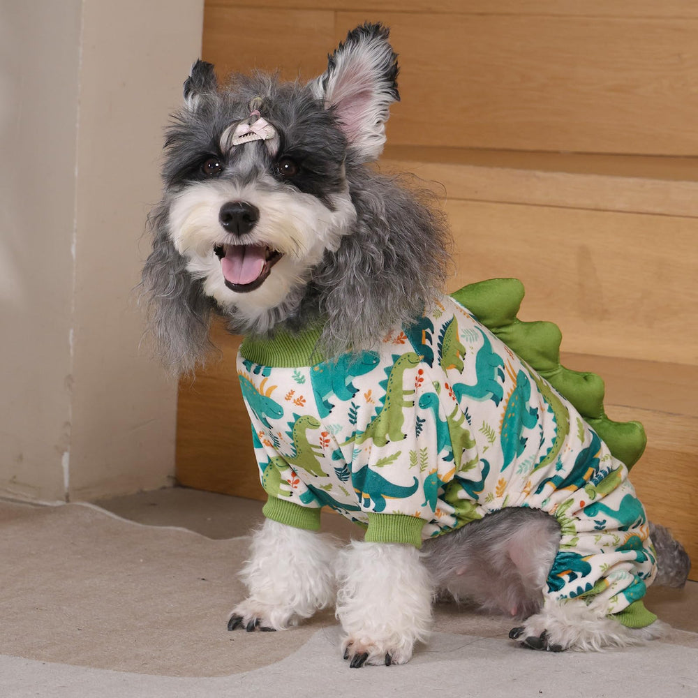 CuteBone cozy pullover keeps dogs warm on chilly walks.