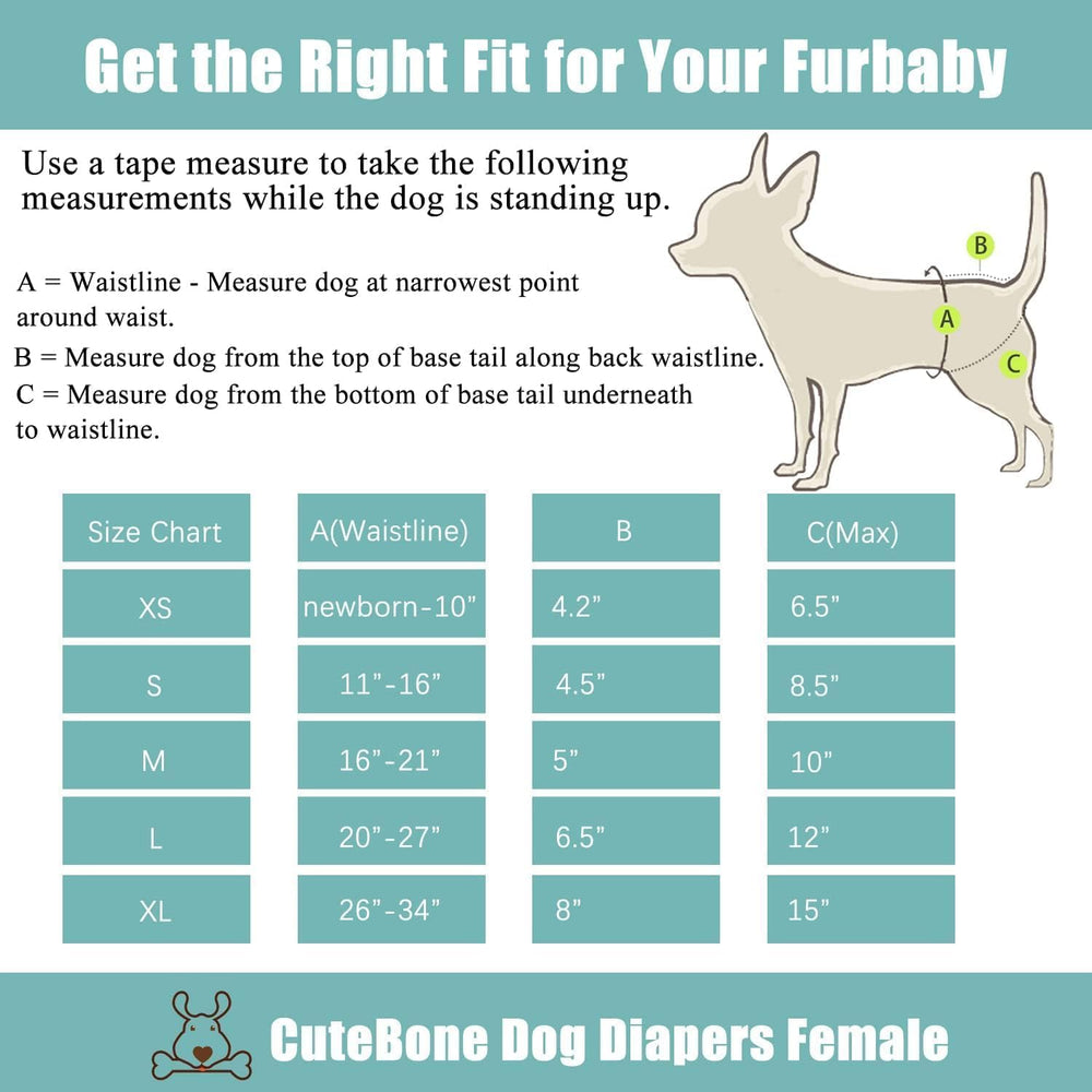 CuteBone-hook-loop-fasteners demonstrate secure fit and easy handling for pets.