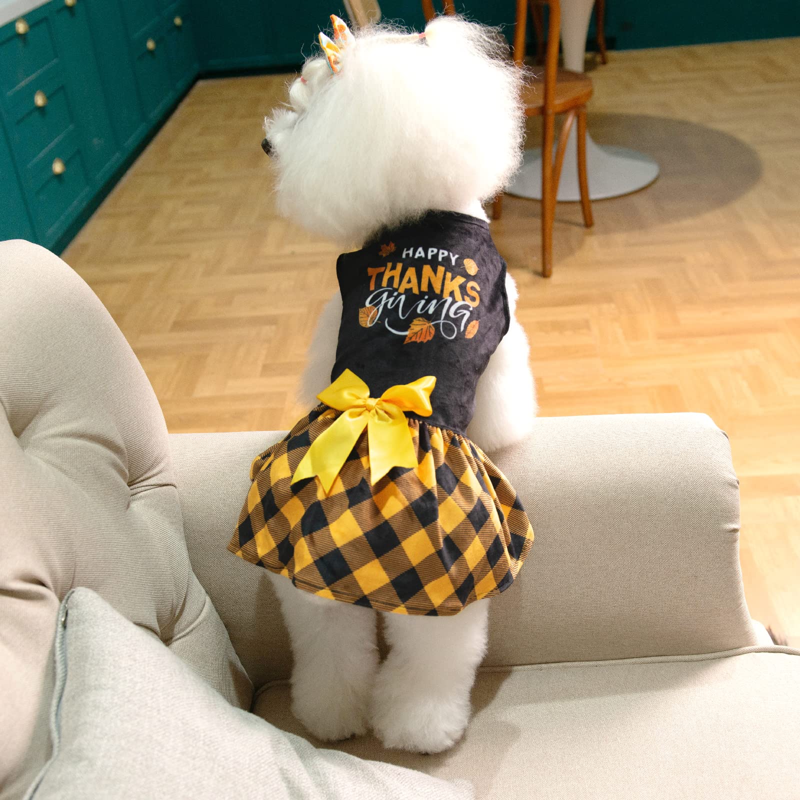 CuteBone dog bow hair rope closeup adds charming accessory