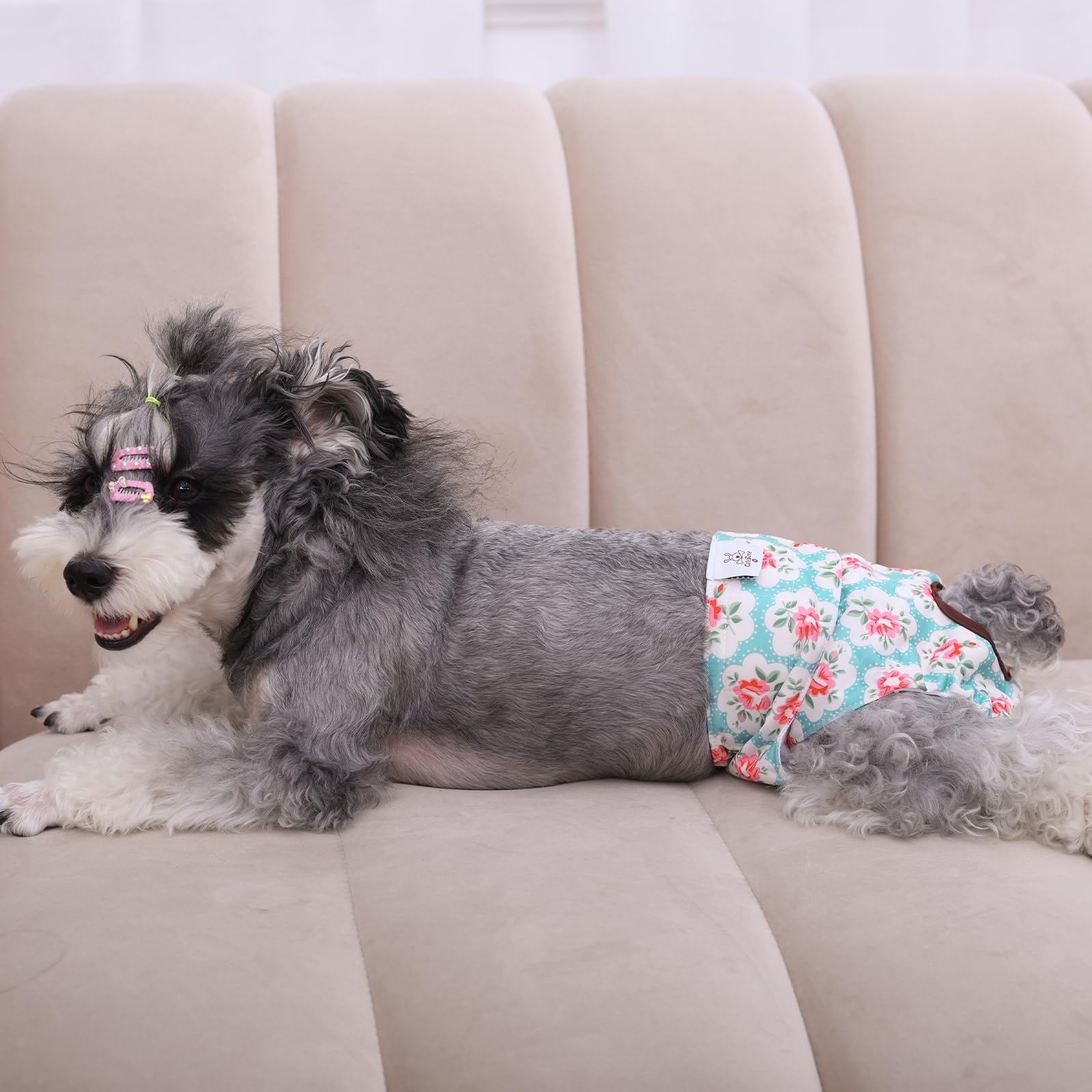 CuteBone hook-and-loop closures make on/off quick and comfortable