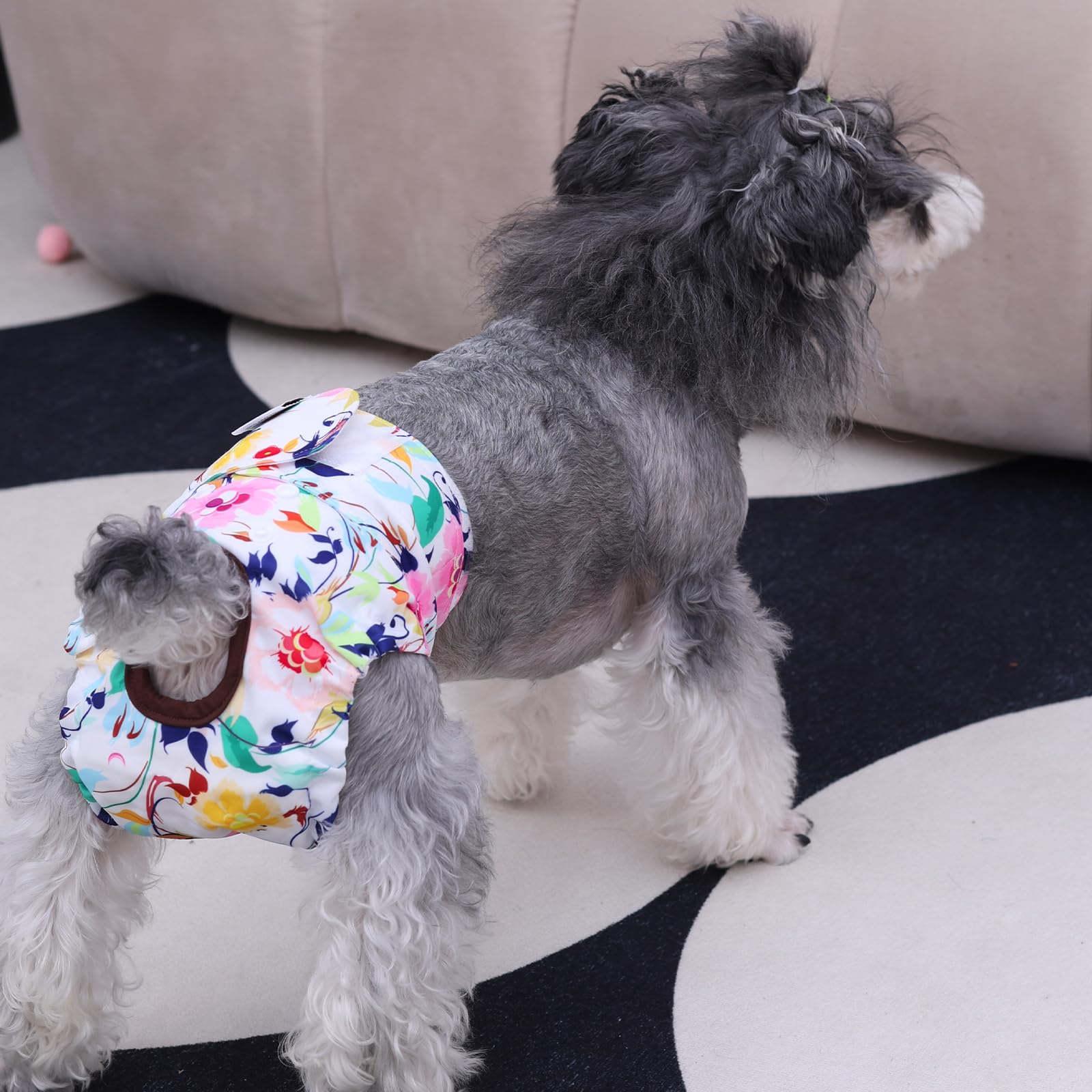 CuteBone three-pack provides economical, reusable option for care