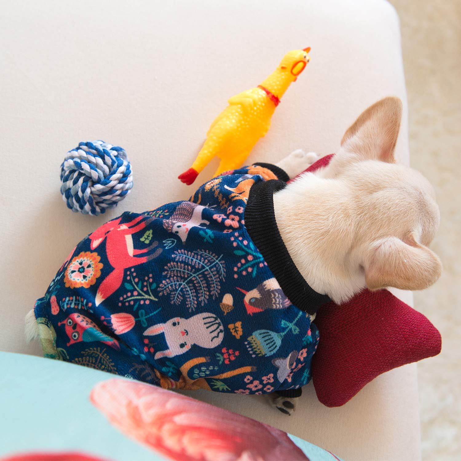 CuteBone dog pajamas pullover design eases dressing during daily activities