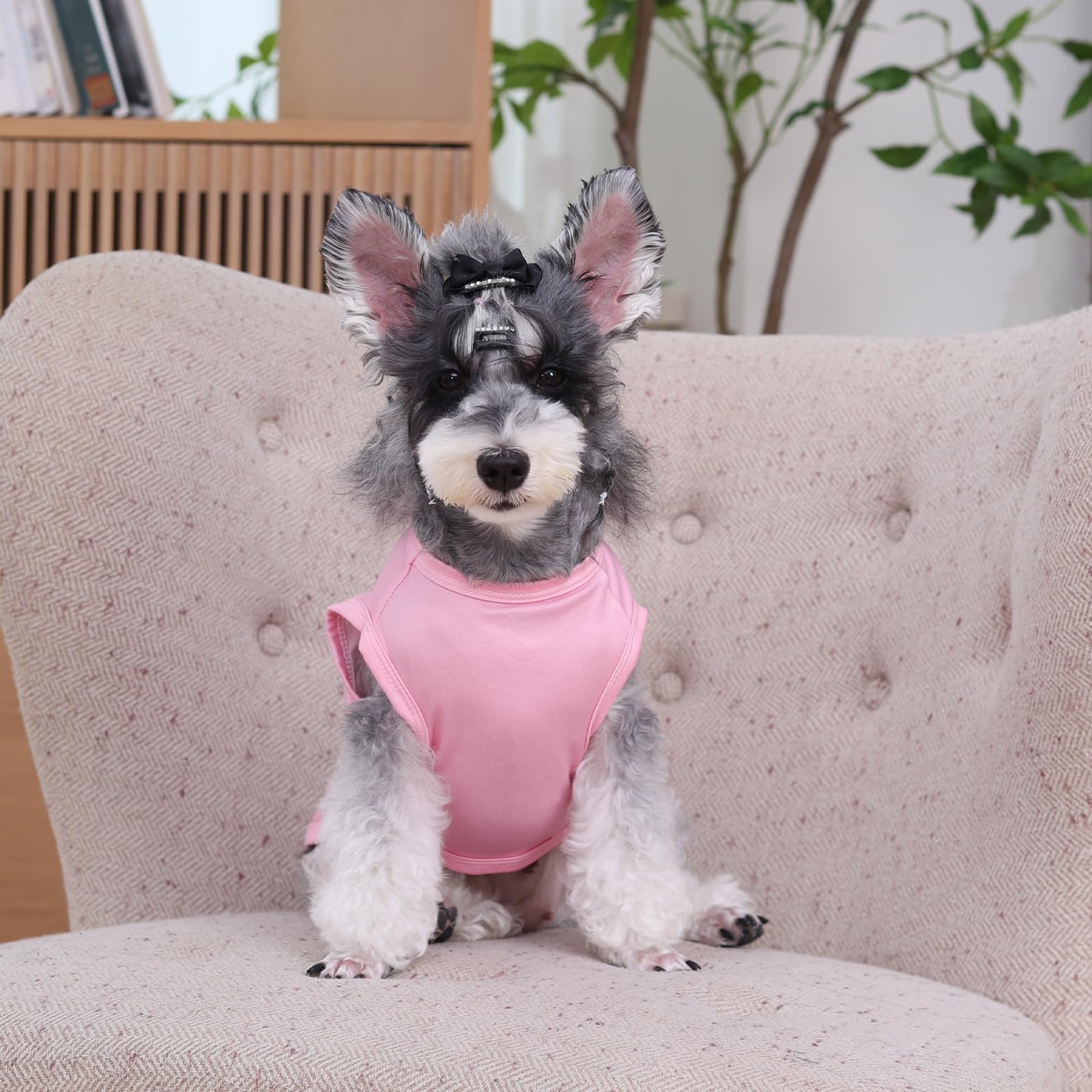 CuteBone dog shirt machine-wash-friendly for easy cleaning after messy adventures.